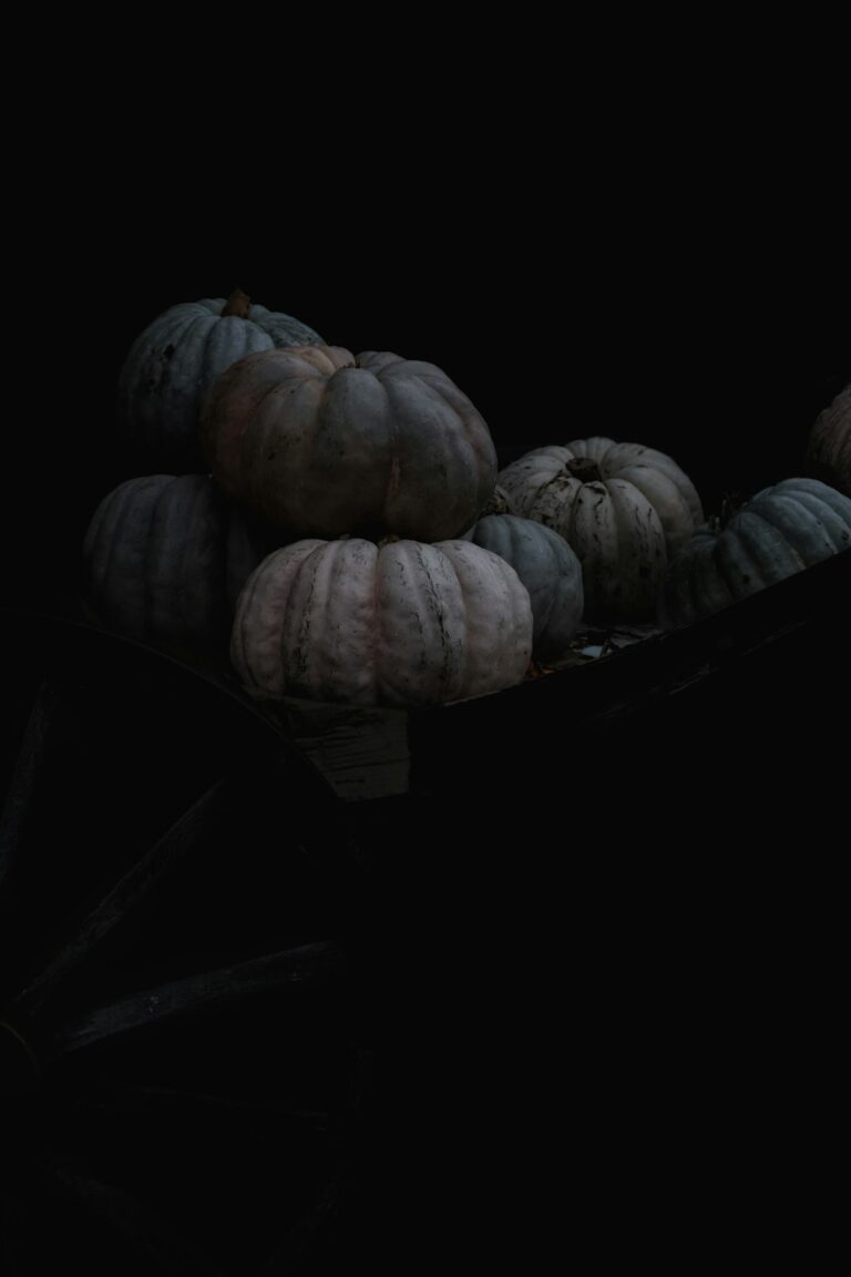 Rembrandt light still life