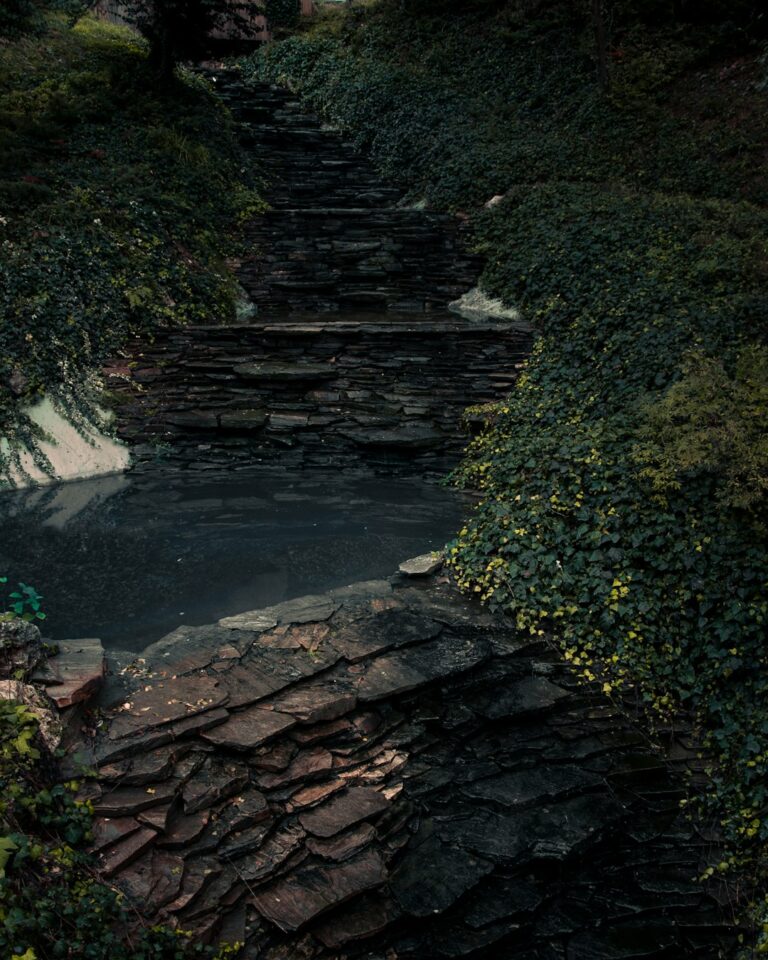 a set of steps leading up to a body of water