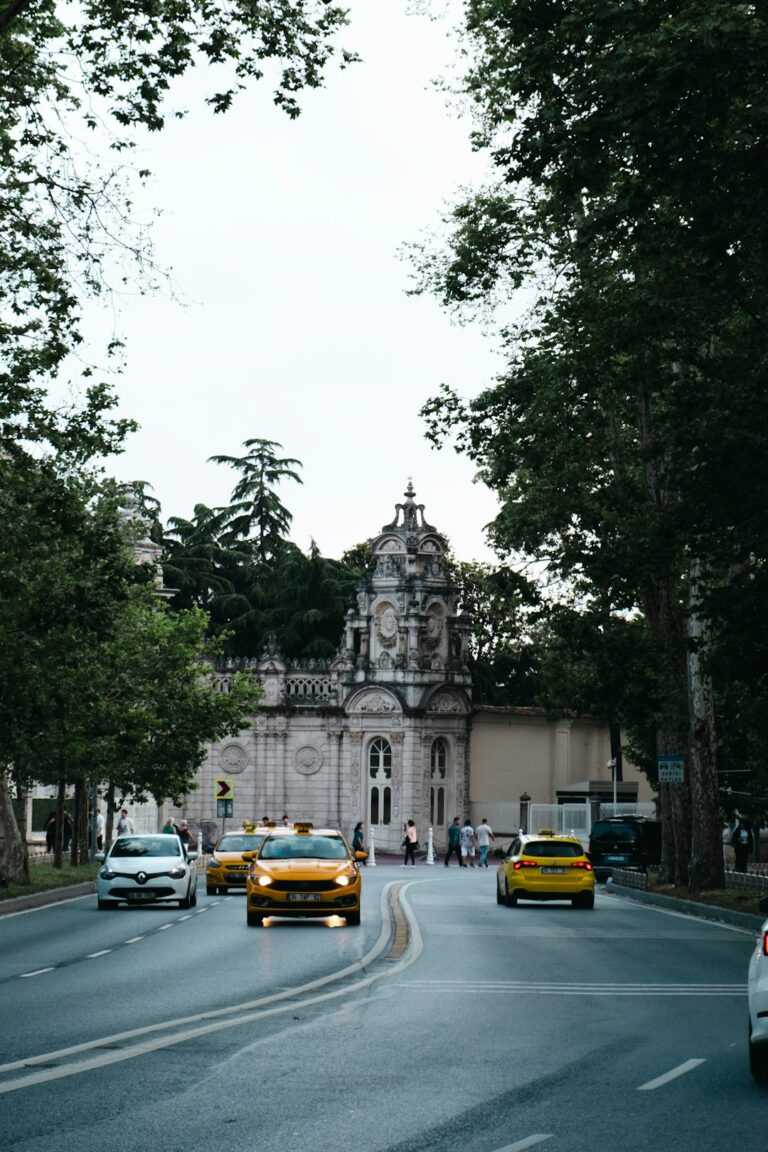 a street with cars and trees on the side