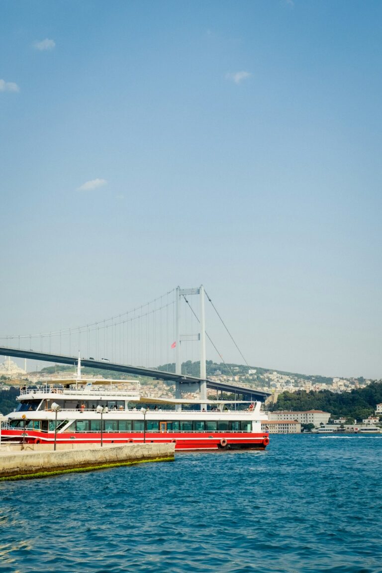 a train on a bridge over water