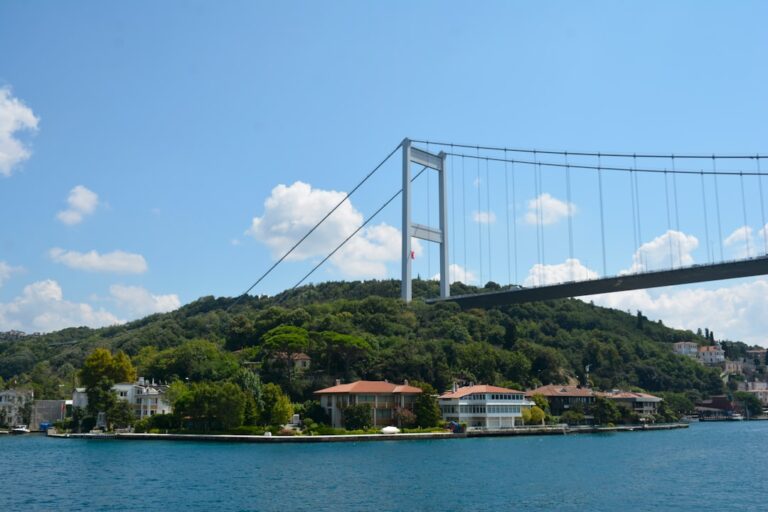 a bridge over a body of water