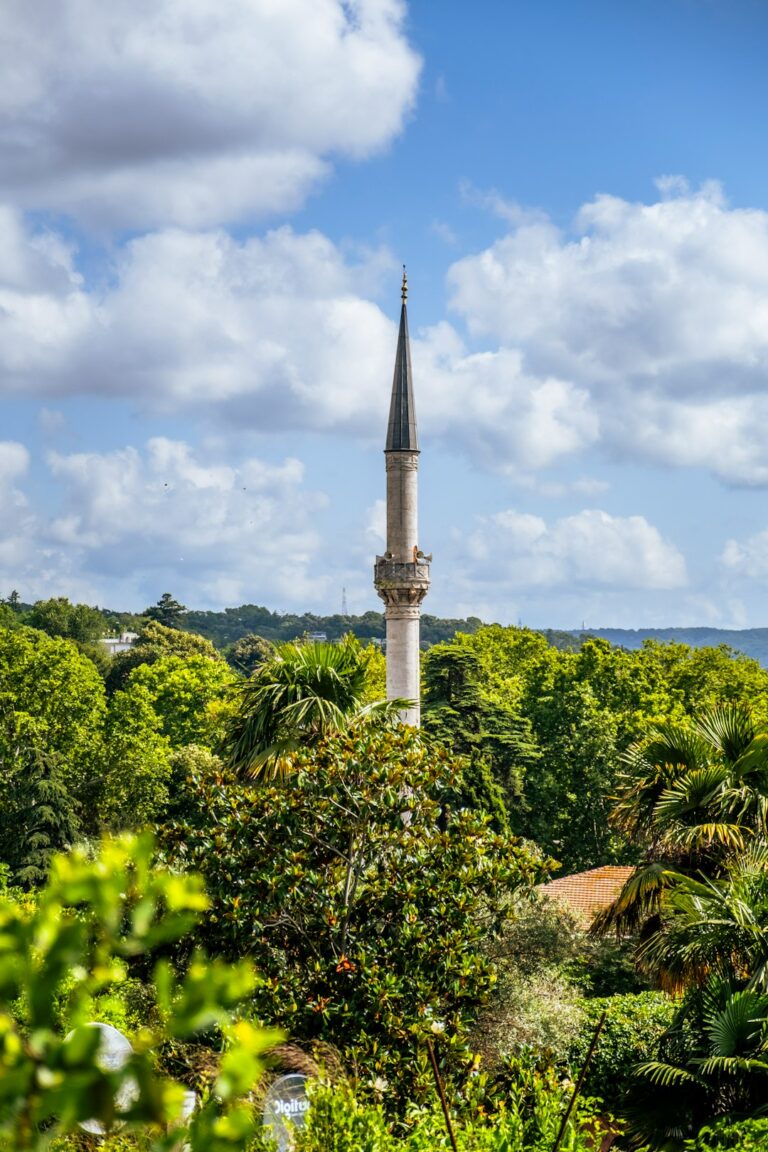 A tall tower towering over a lush green forest