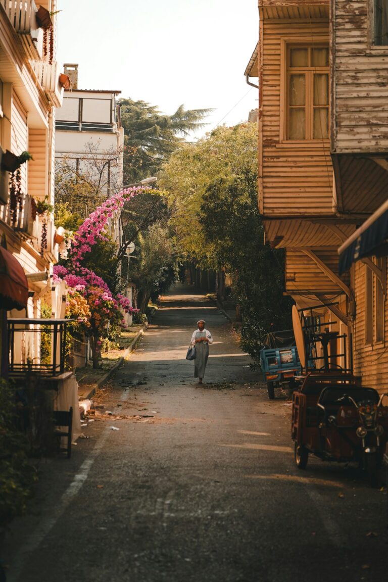 A peaceful street in Istanbul bathed in soft, golden afternoon light. A solitary figure walks through the quiet...
