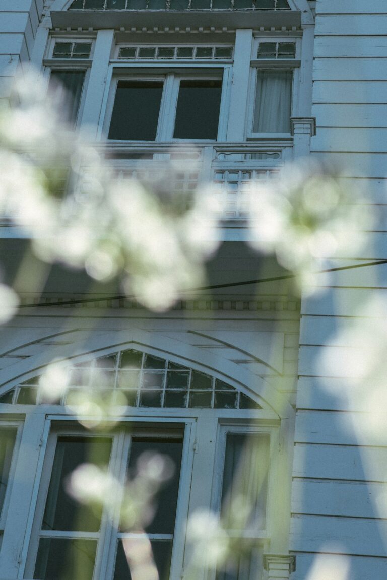 Discover the serene beauty of the Princes' Islands in Istanbul, where peaceful landscapes, crystal-clear waters, and...