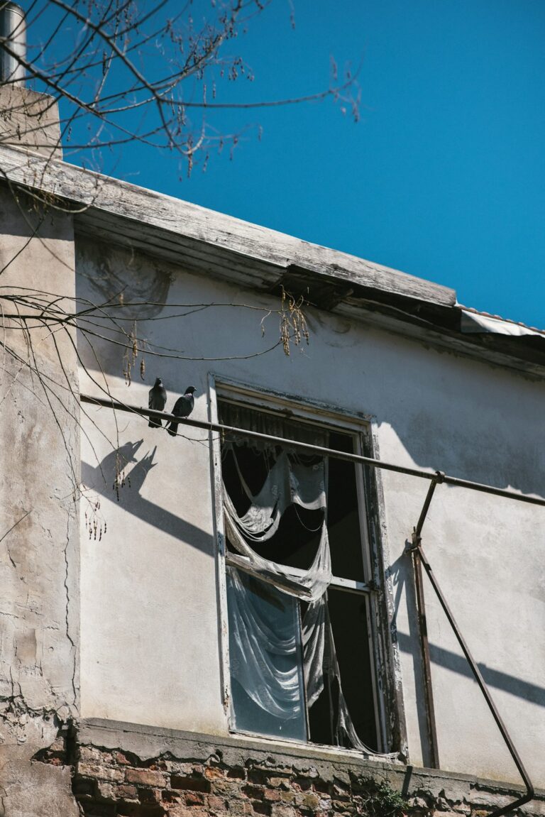Two birds perch on a wire near an old building.